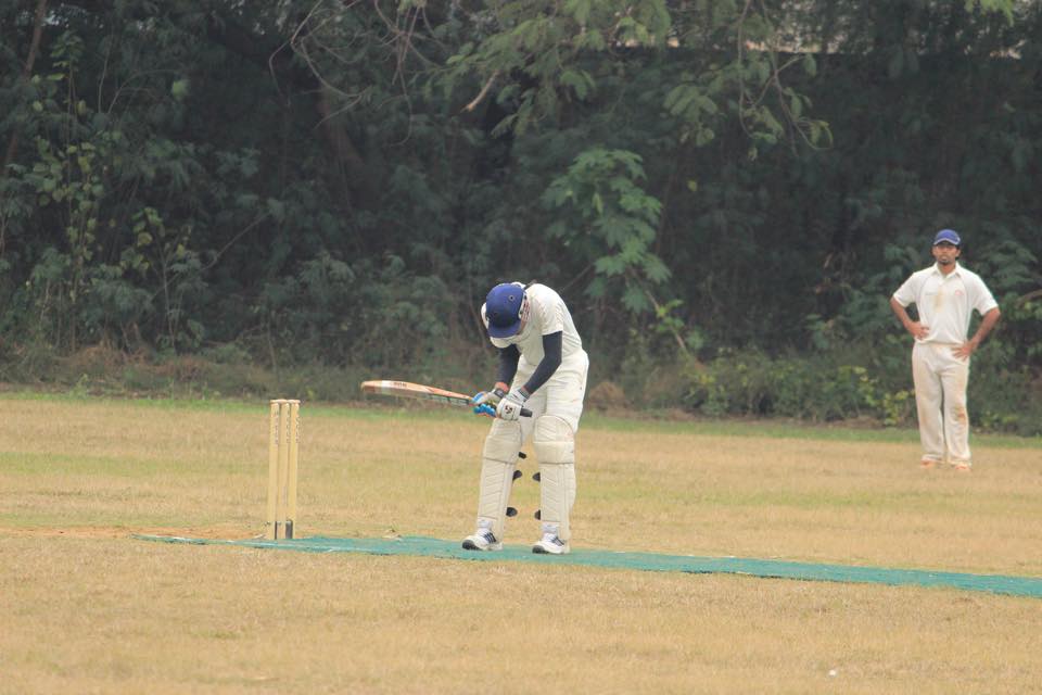 Cricket