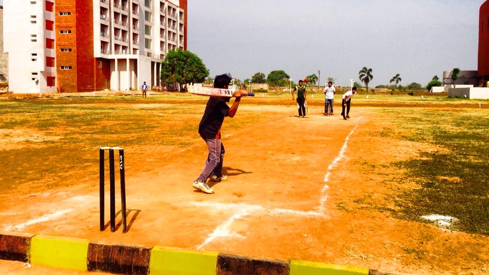 Cricket Field