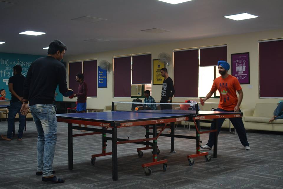 Table Tennis Court