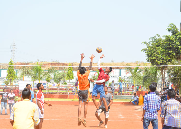 Volley Ball