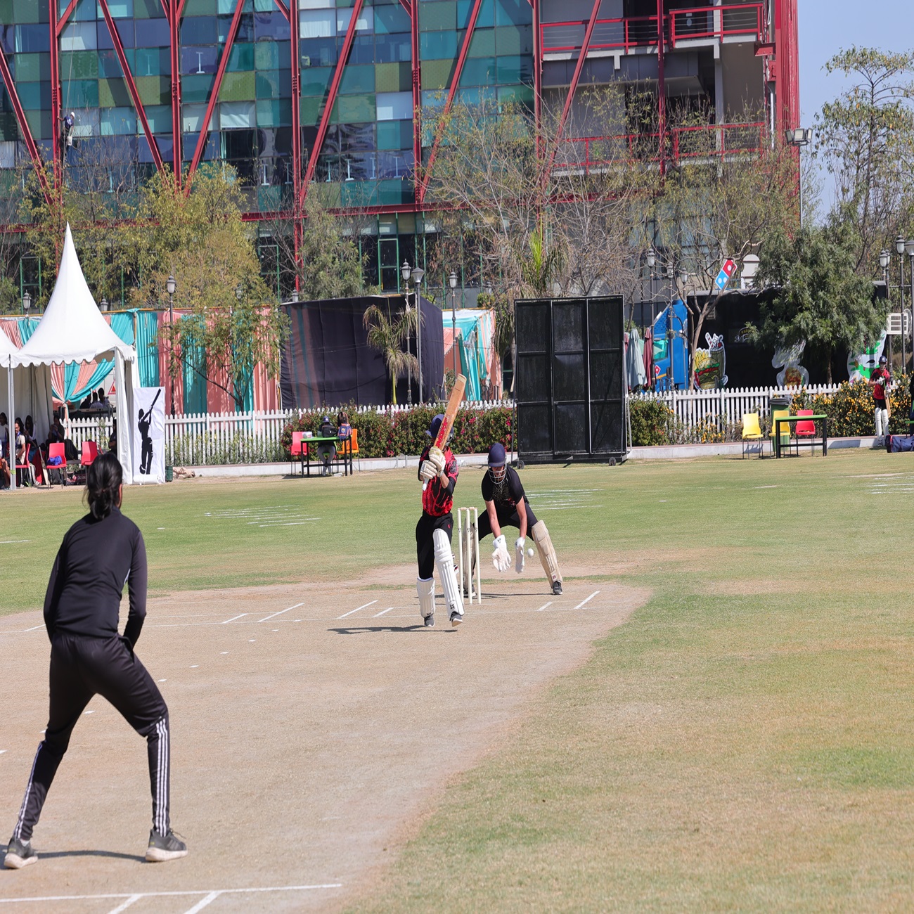 Cricket Playground
