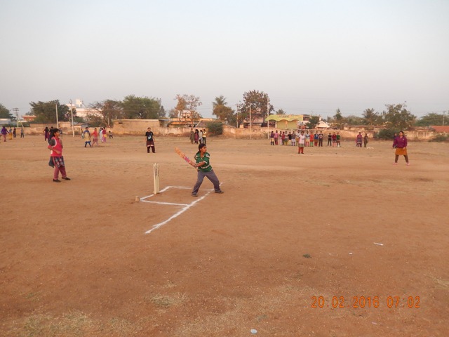 Cricket