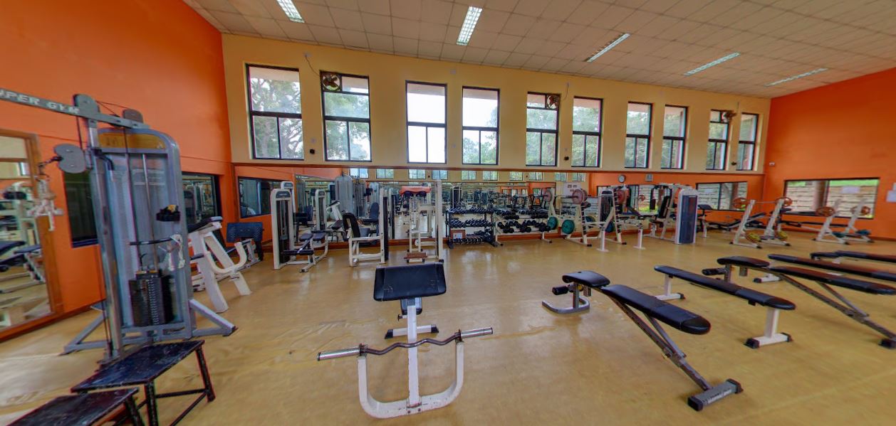 Gymnasium