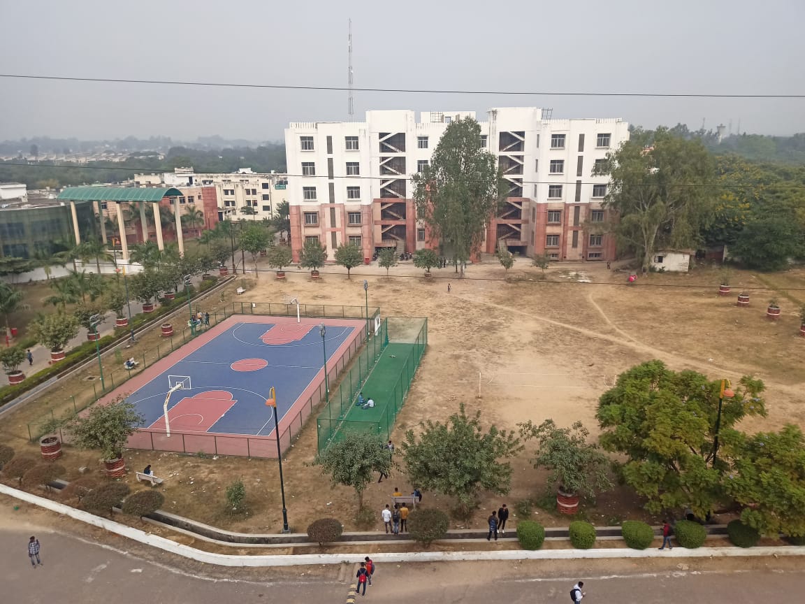 Basketball Court