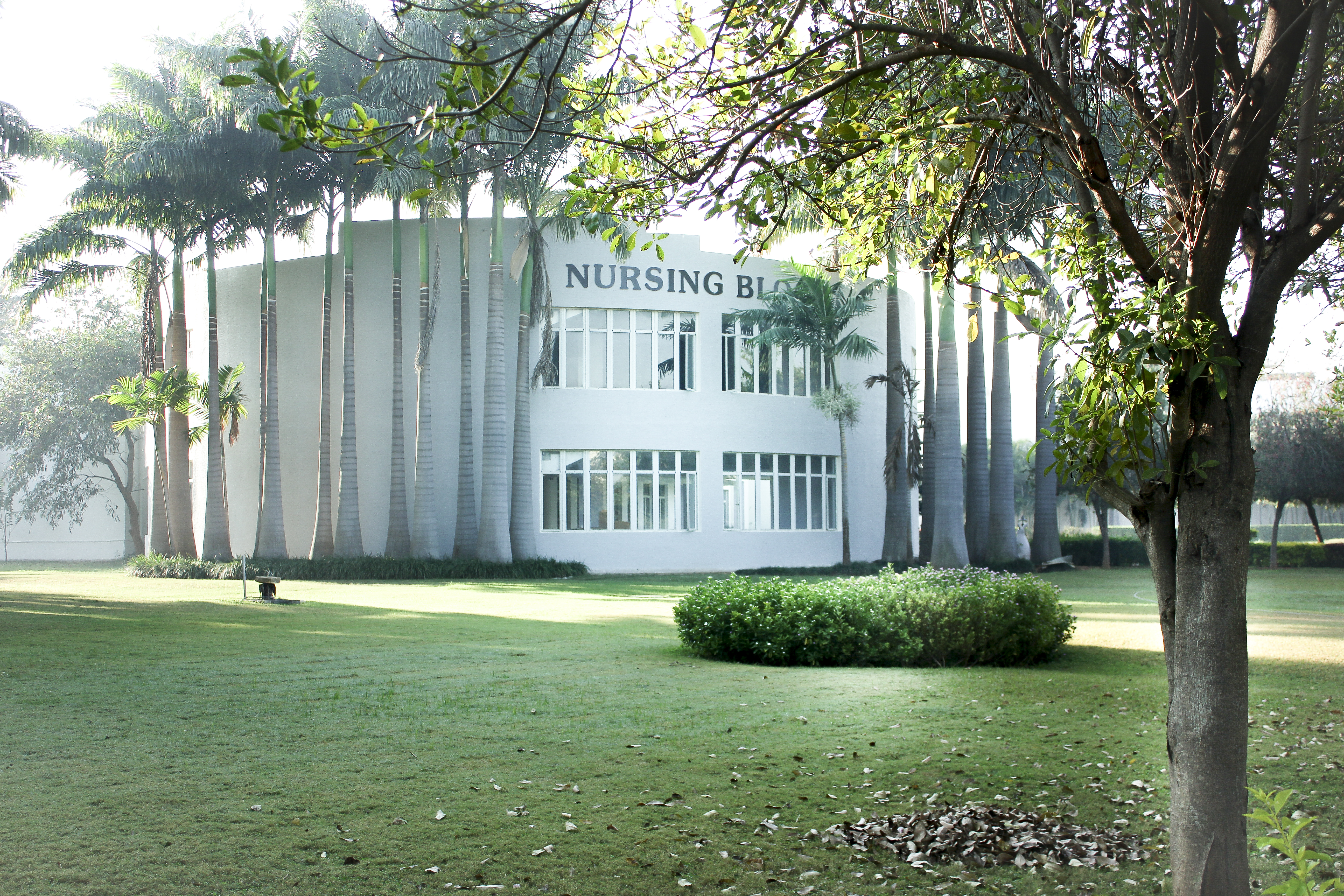 Nursing Block