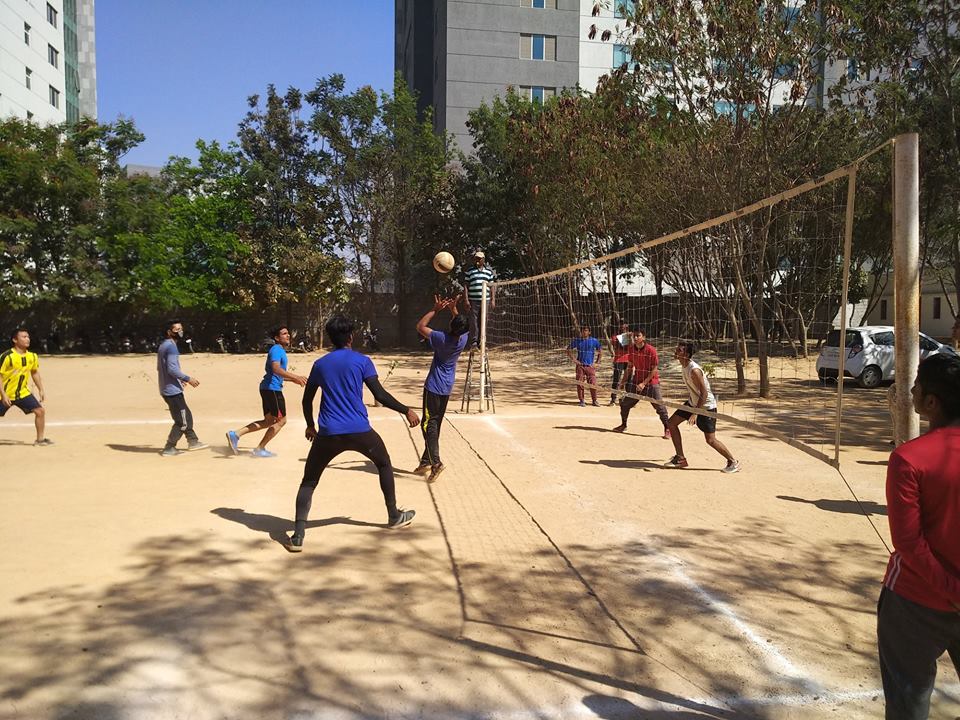 Volleyball Court