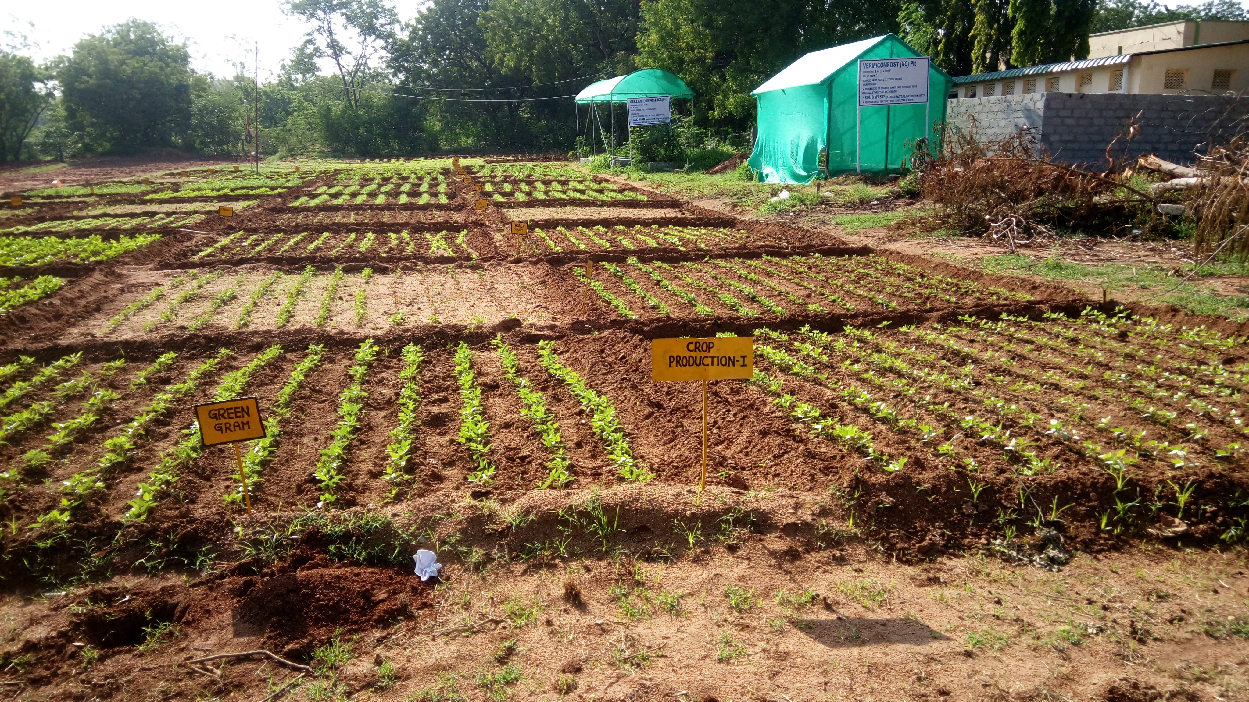 Crop Production