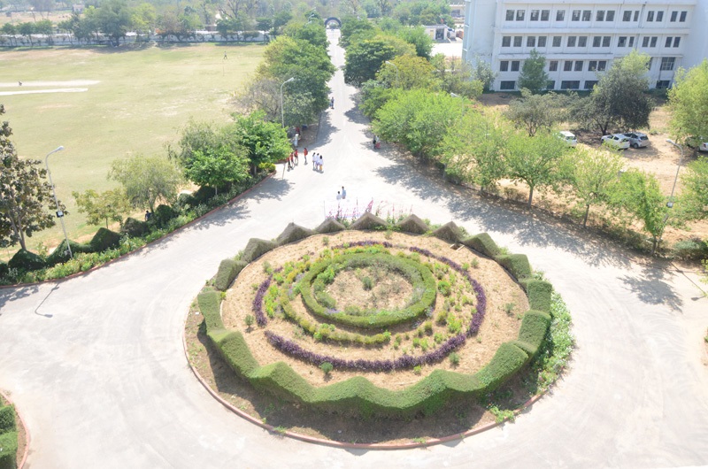 Campus View
