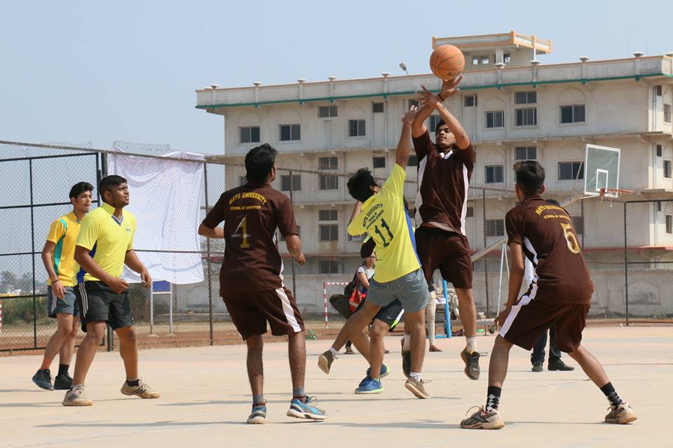 Basketball Court