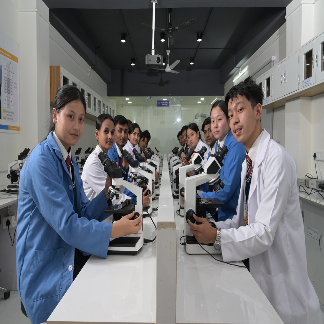 Medical Lab