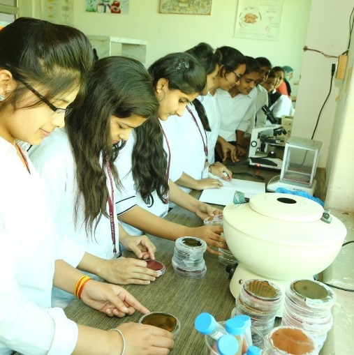 Lab