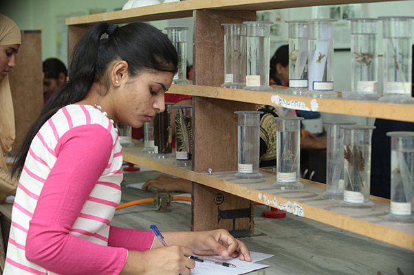 Labs