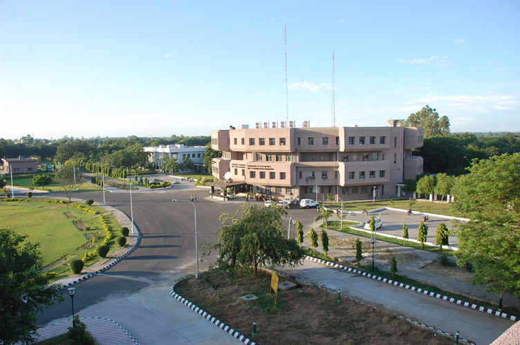Campus view