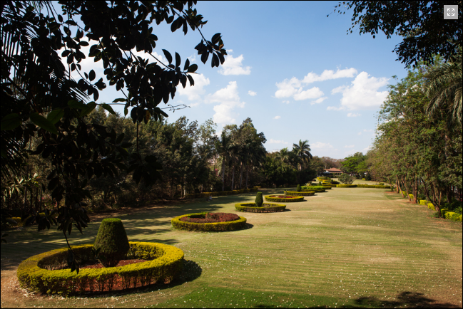 Campus Area