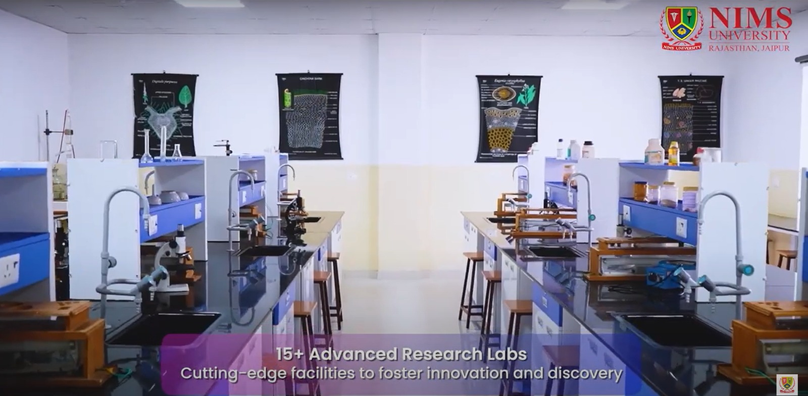 Lab