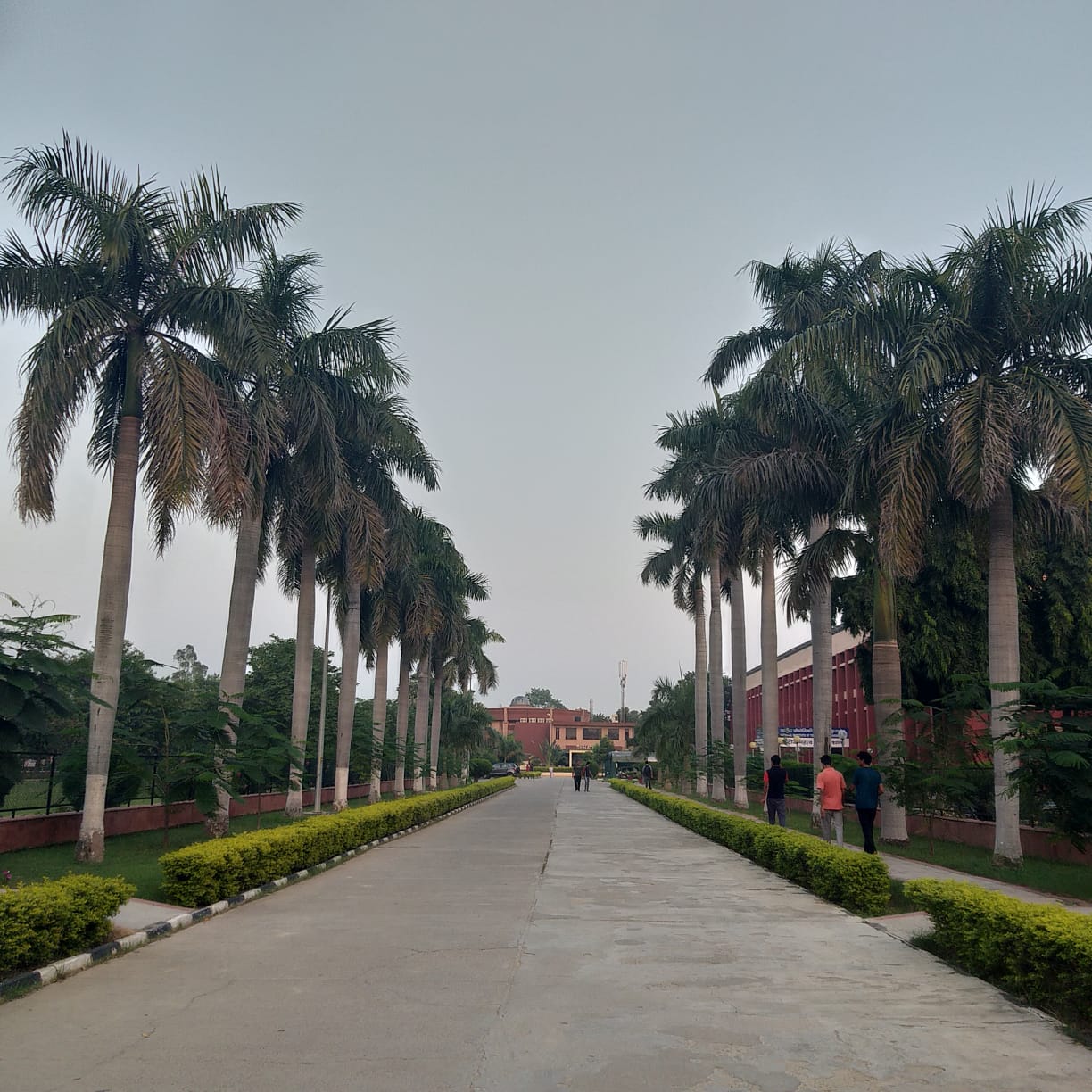 Campus View
