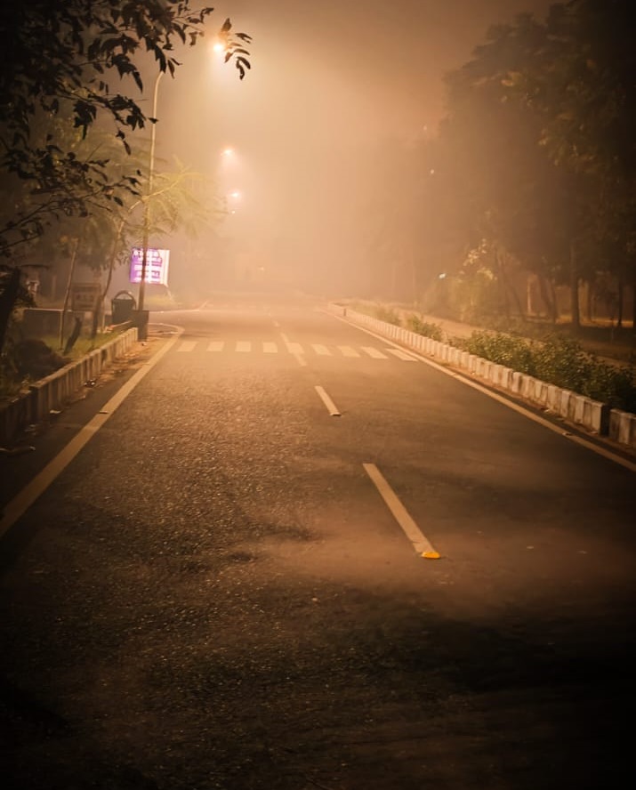 Night View