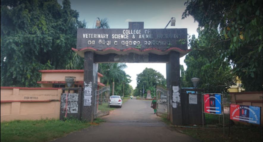 Veterinary Department
