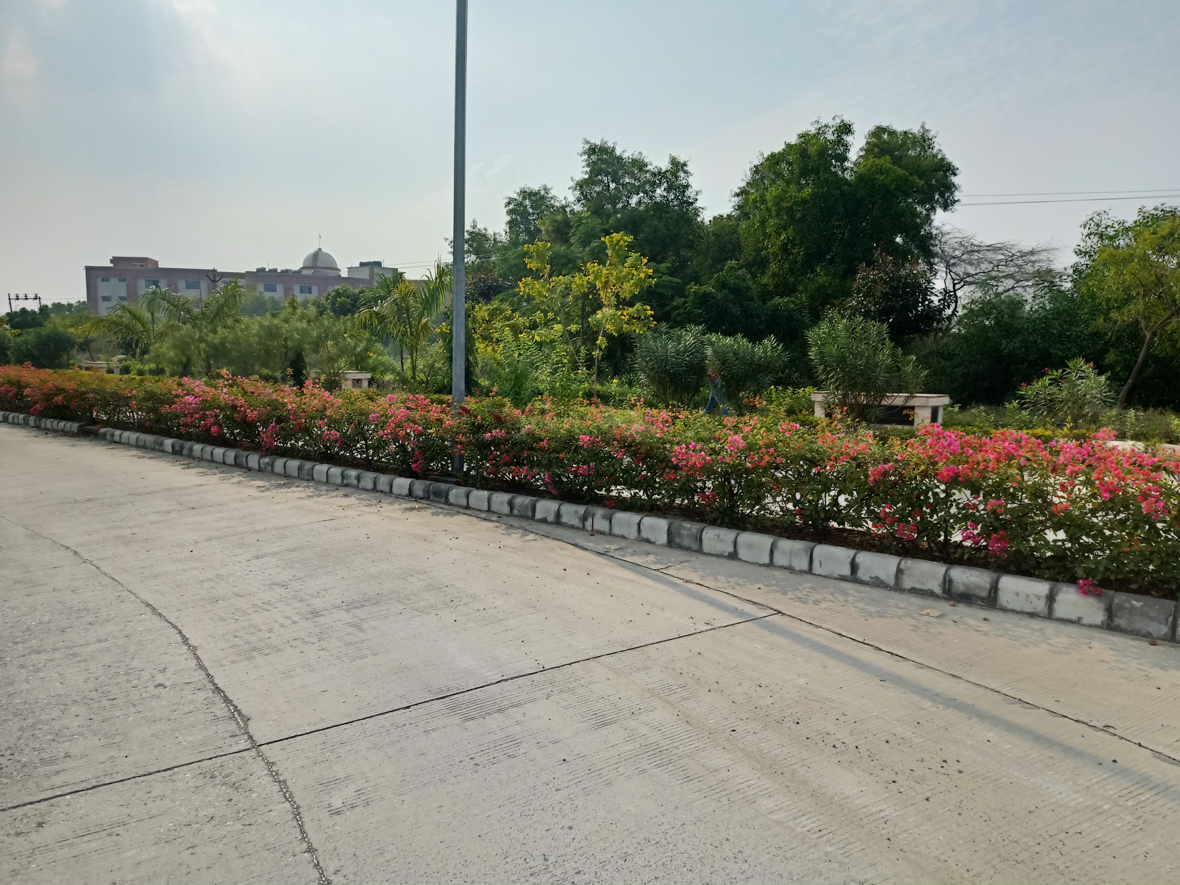 Campus View