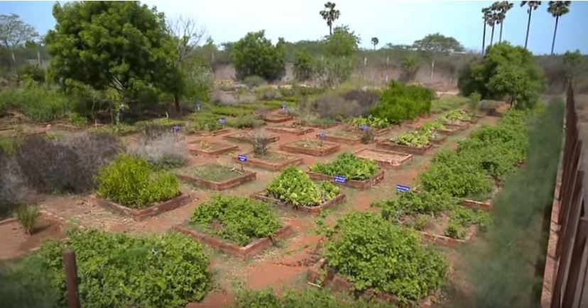 Herbal Garden