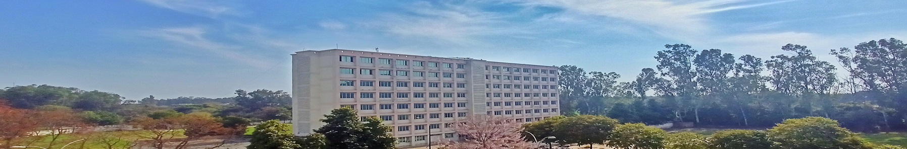 Header Image