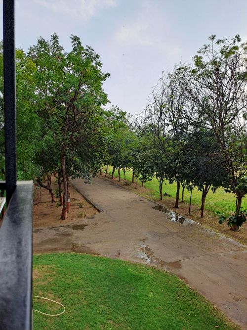 Campus View