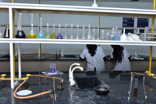 Labs