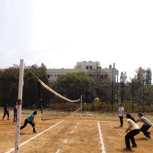 Volleyball court