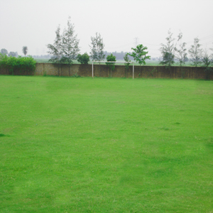 Play Ground