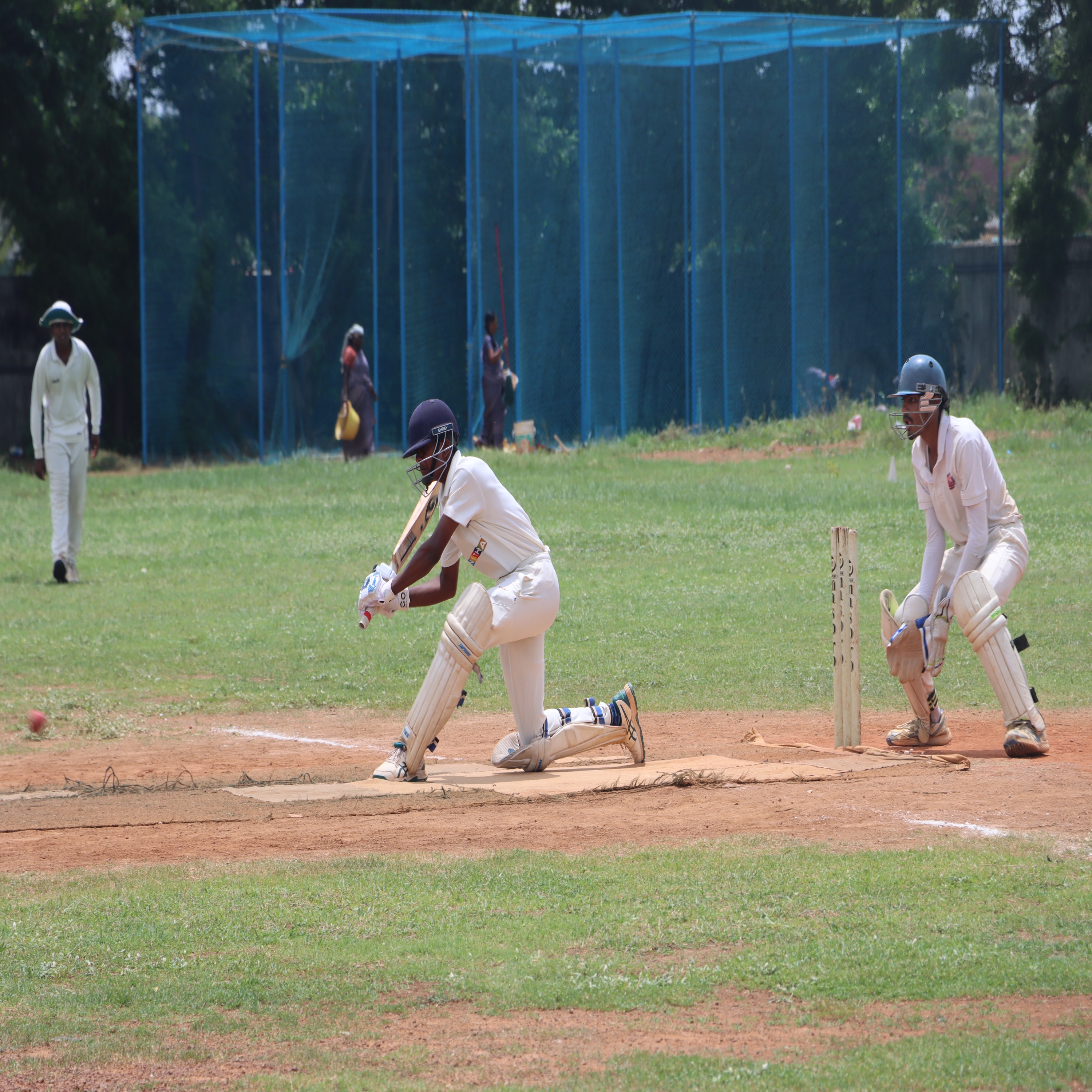 Cricket