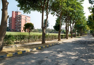 Campus