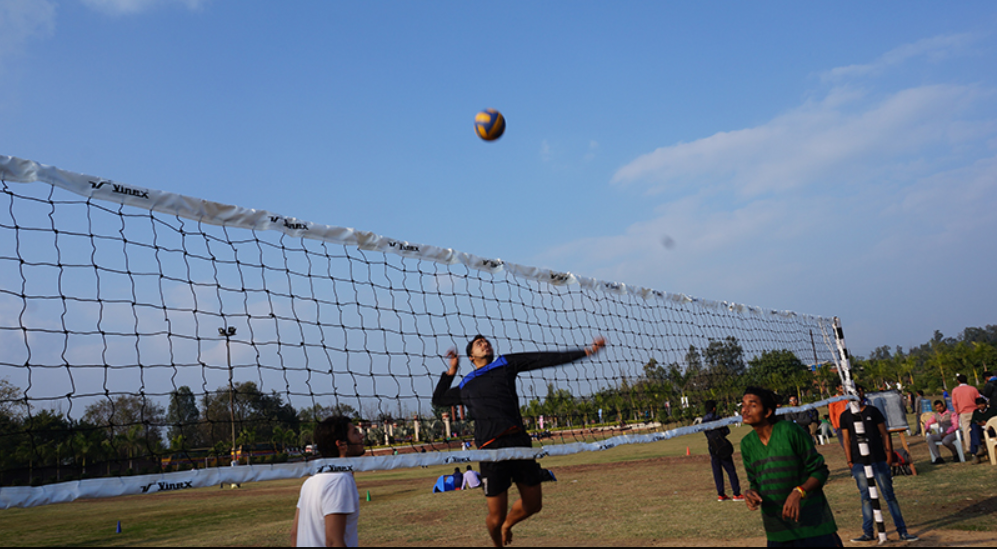 Volleyball Court