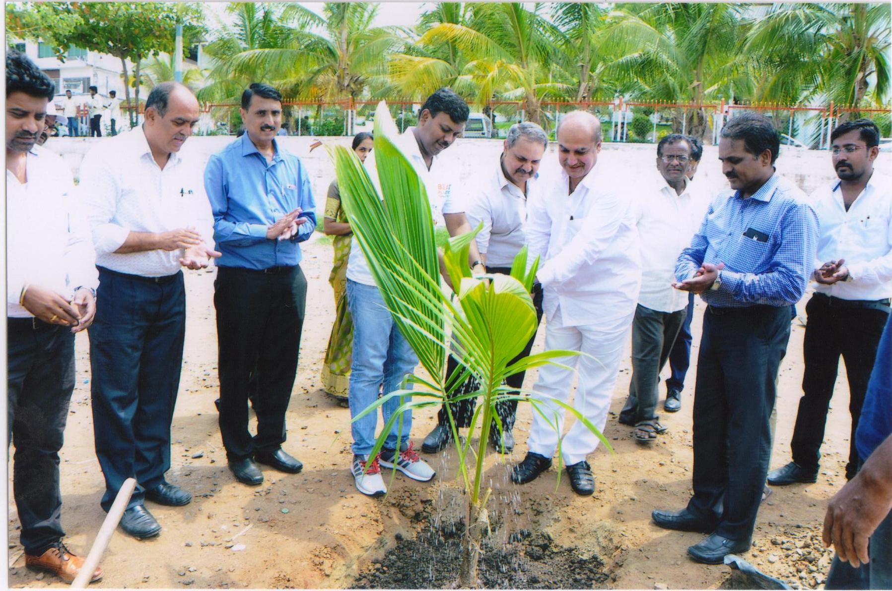 Plantation