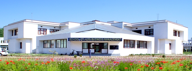 Campus Building