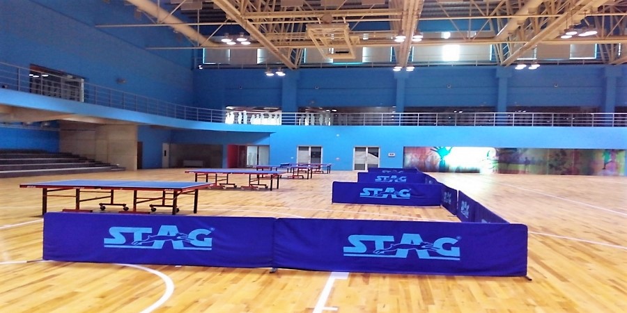 Table Tennis
