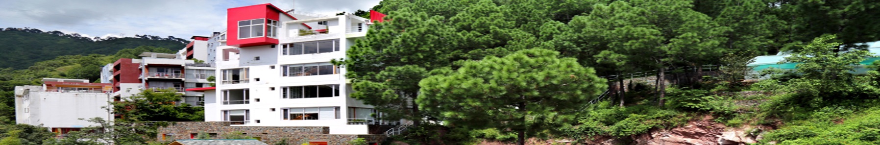 Header Image