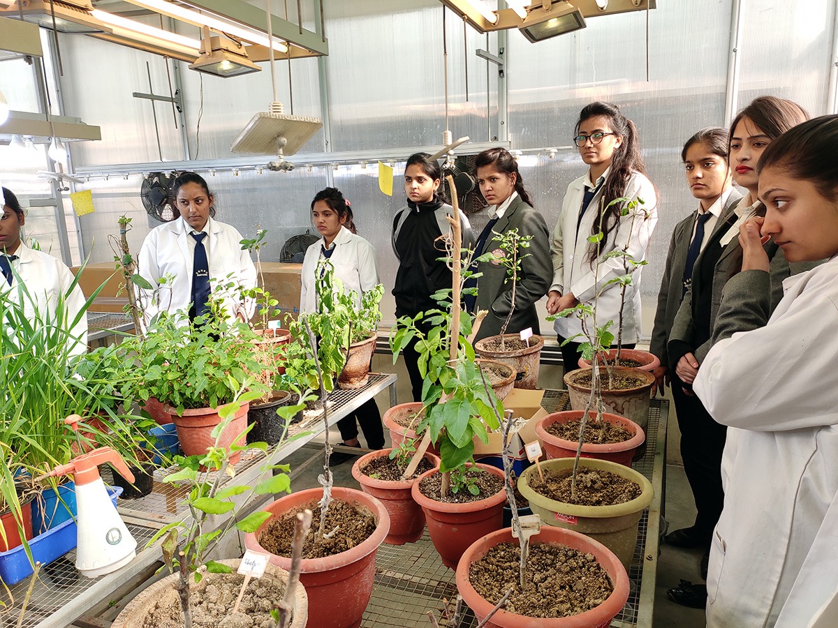 Herbal Garden