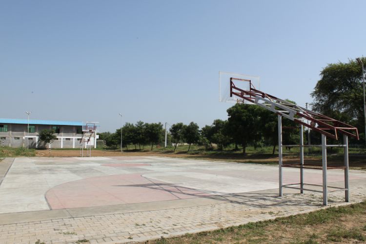Basketball Court