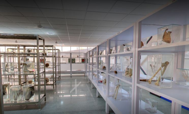 Lab