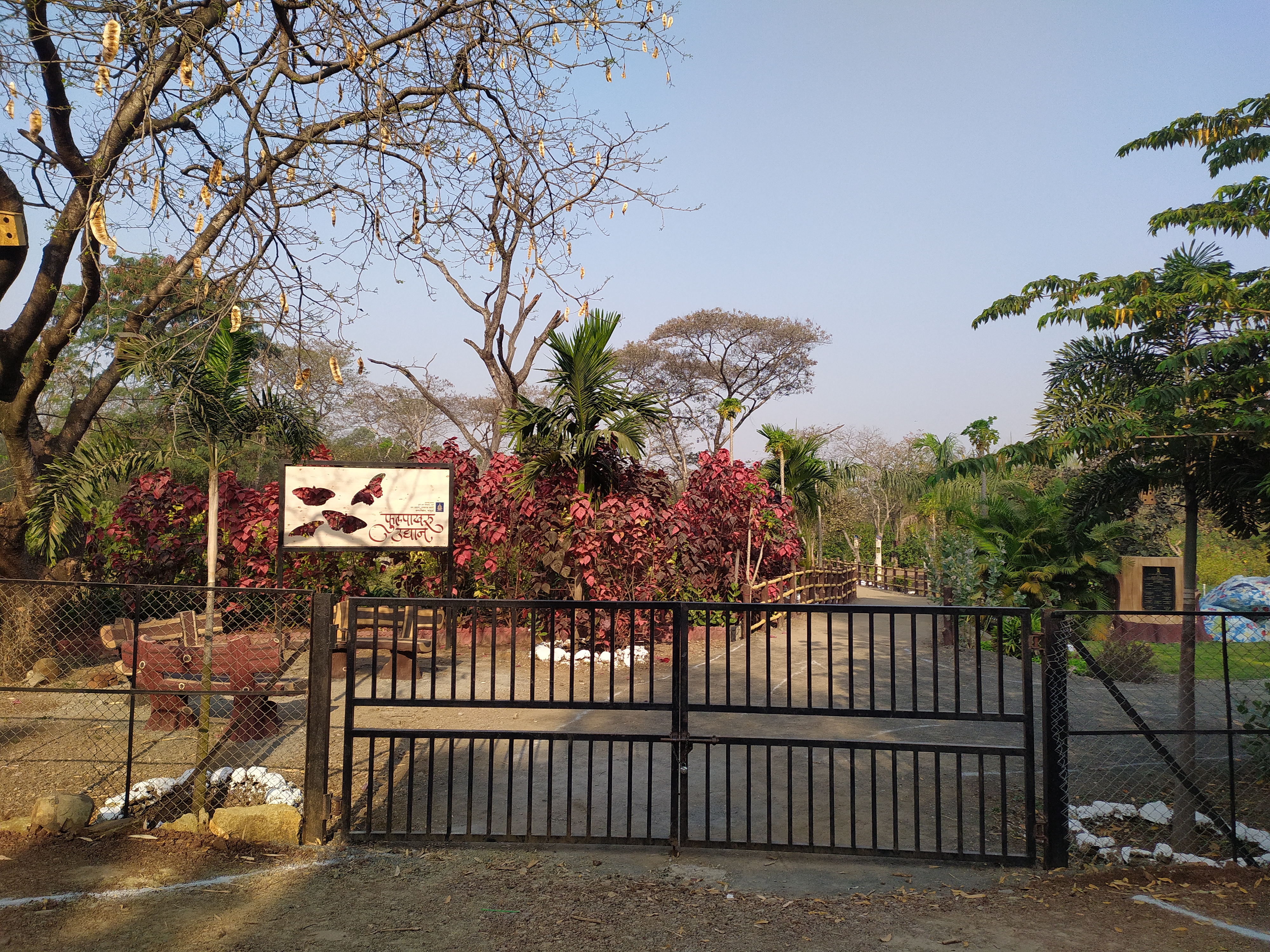 Campus View