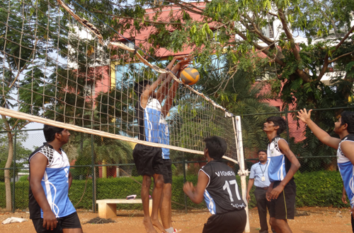Volleyball Court