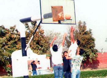 basketball
