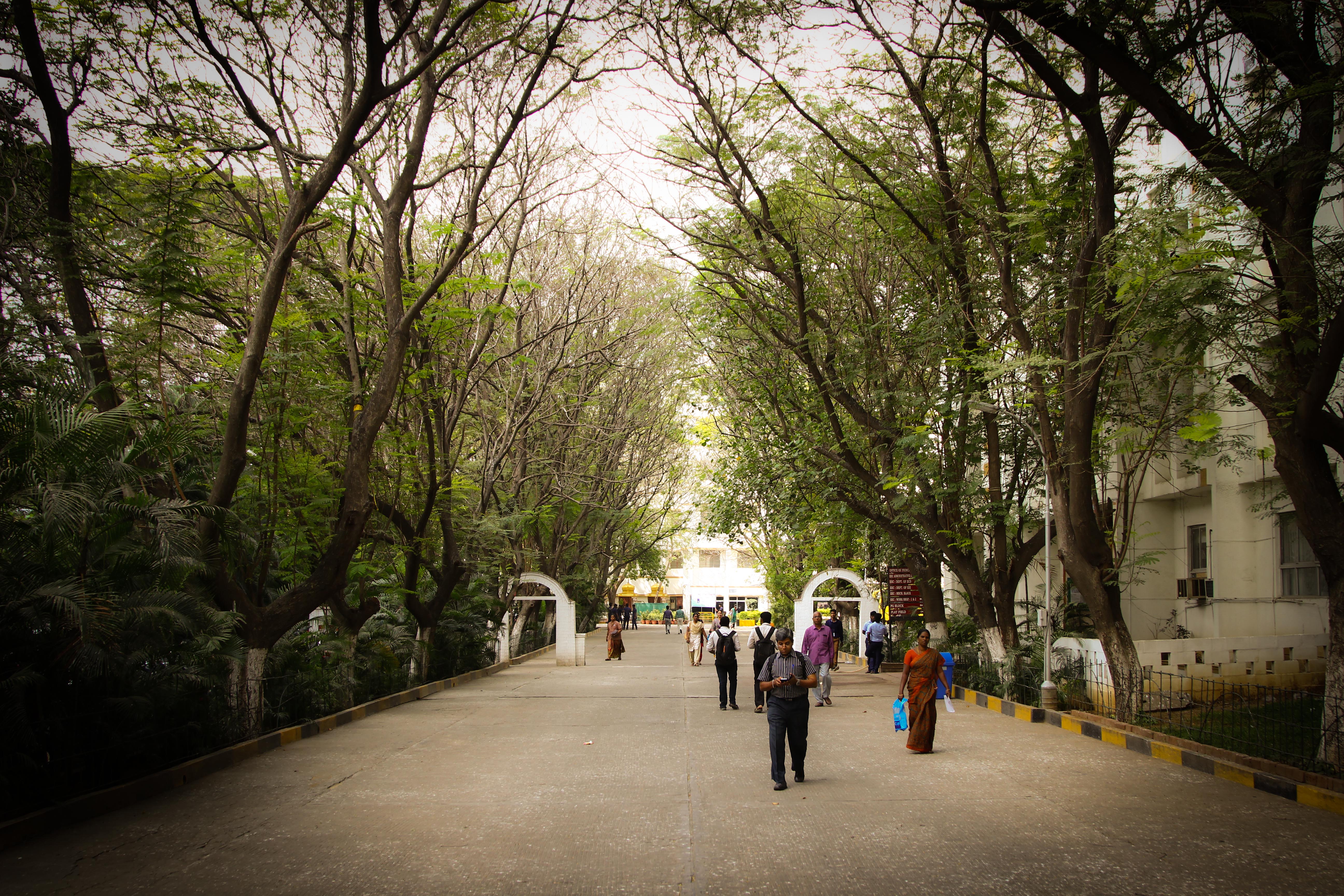 Campus road
