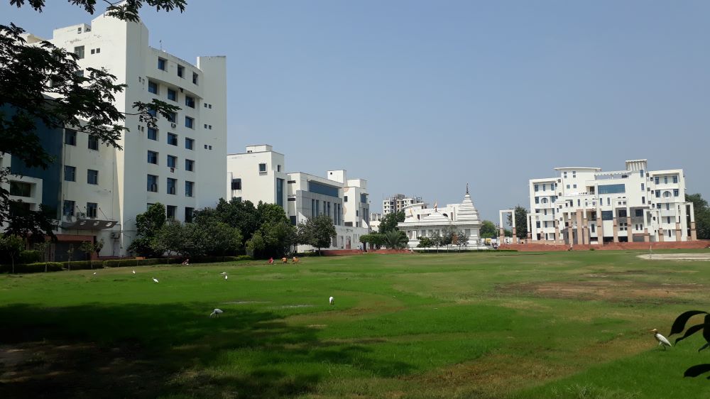 Campus View