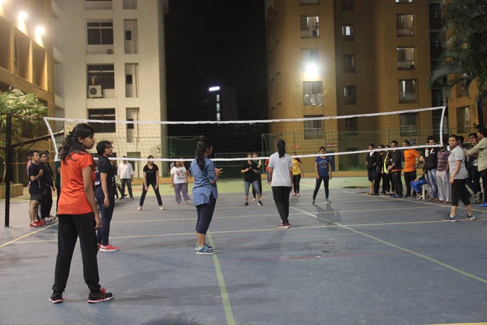 Volleyball Court