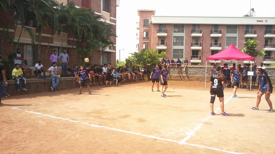 Volleyball Court