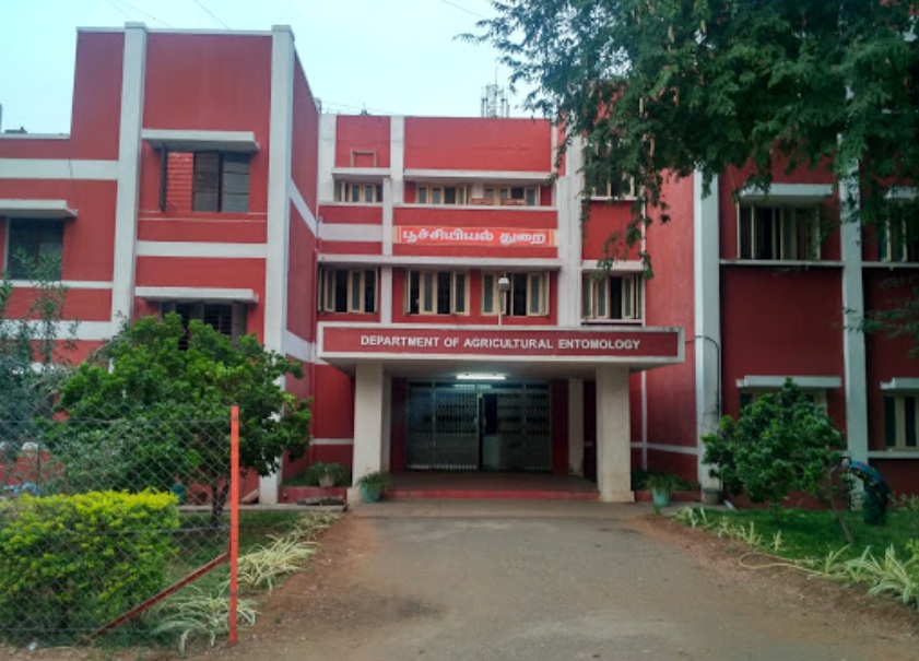 College Building