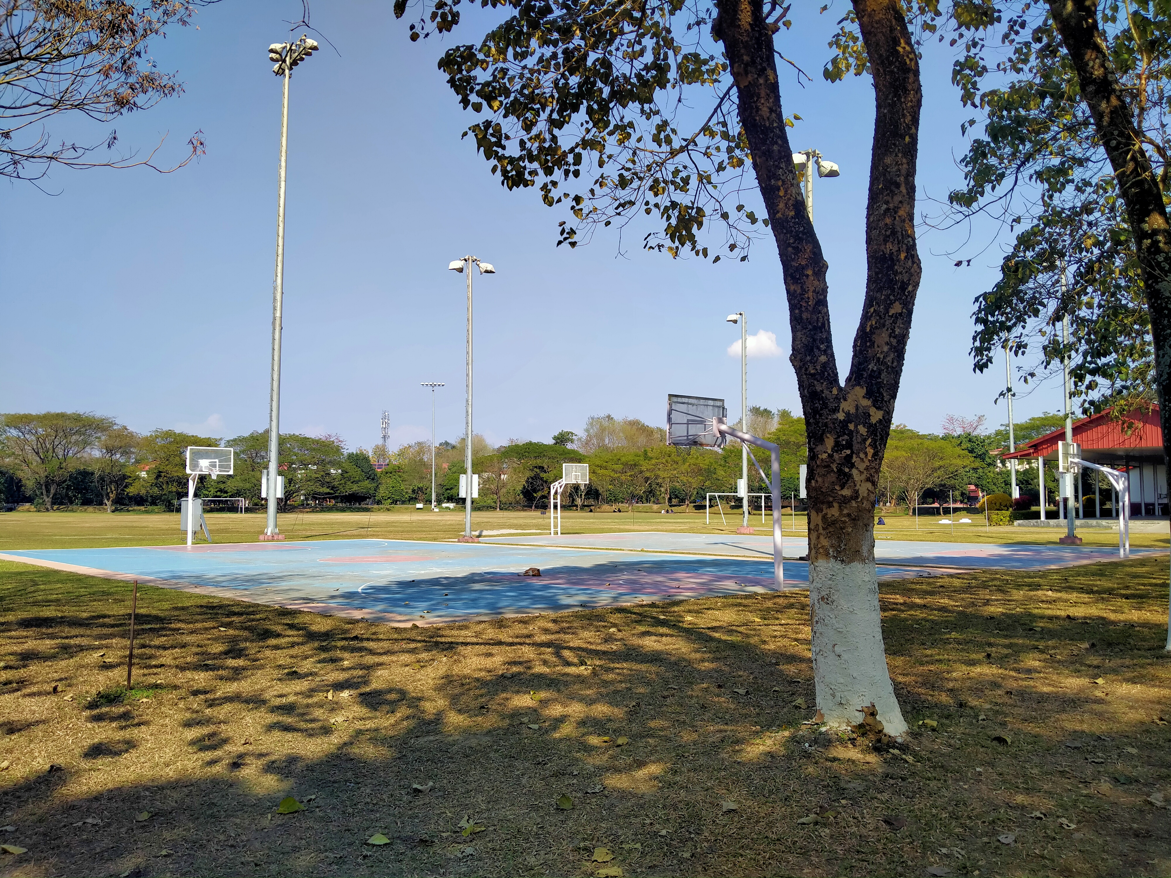 Campus Ground