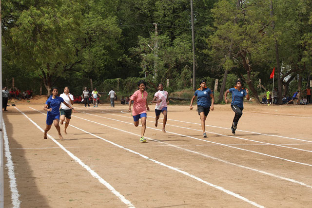 Sports Facility