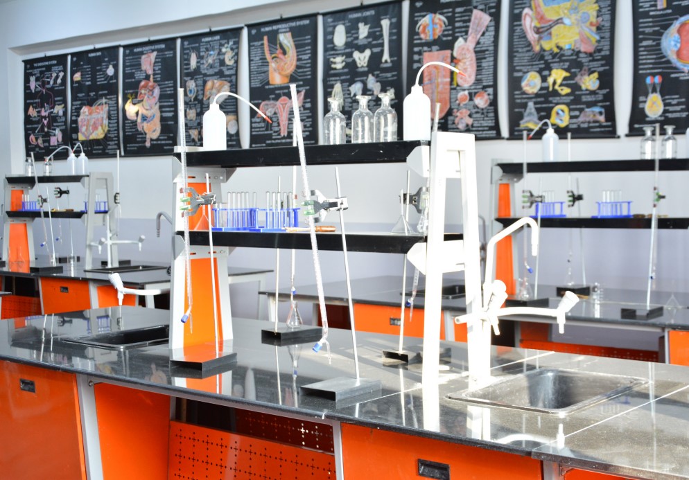 Lab